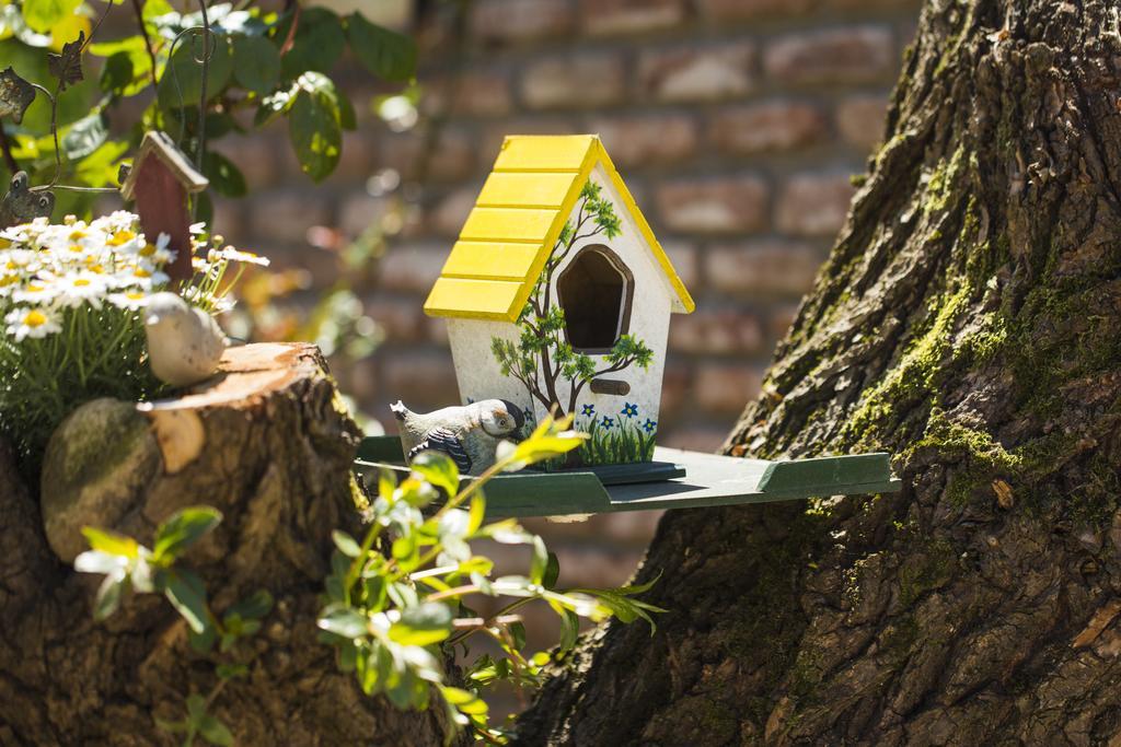 Agva Greenline Guesthouse (Adults Only) Exterior photo